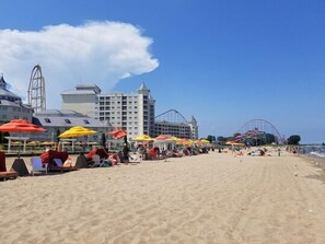 Beach - Downtown Sandusky - walk to everything! (Sandusky)