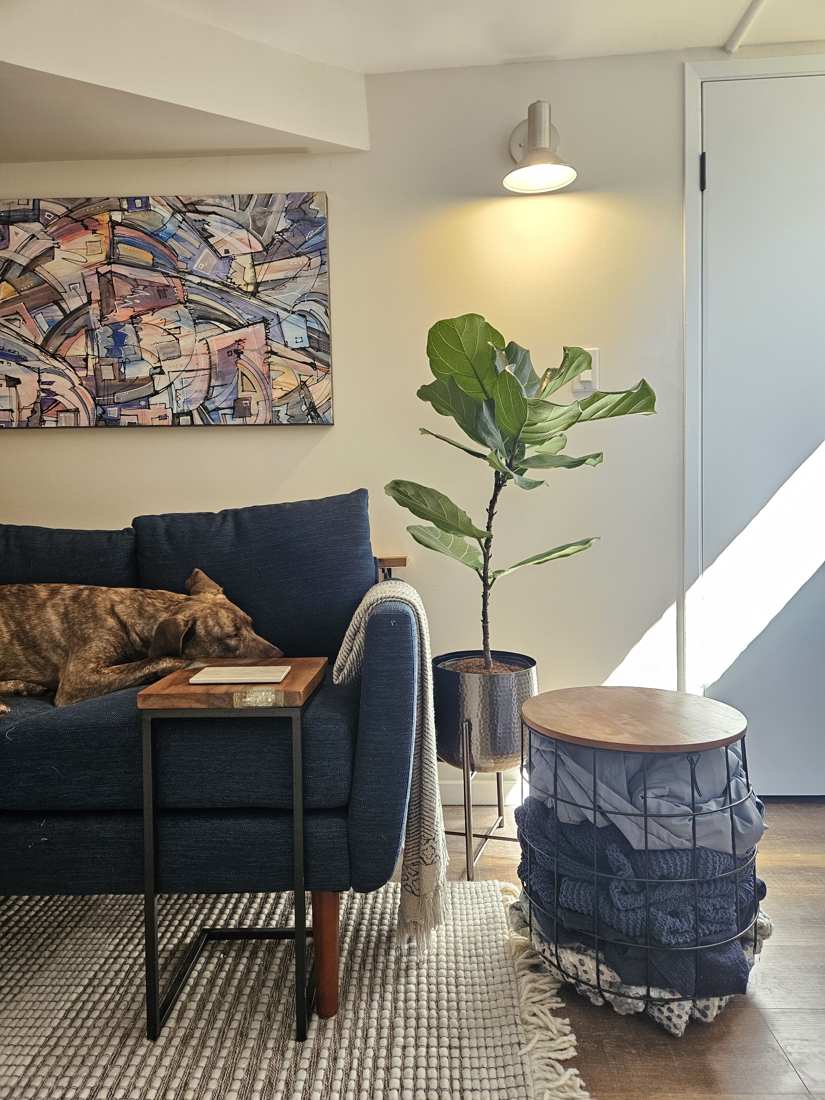 Smart TV, chimenea, libros y biblioteca musical 