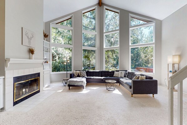 Una televisión, libros