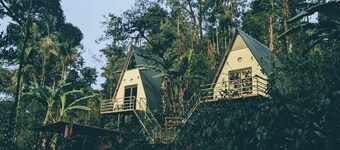 Experience Serenity at Coorgology estate stay in Lush Coffee Plantations