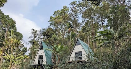 Experience Serenity at Coorgology estate stay in Lush Coffee Plantations