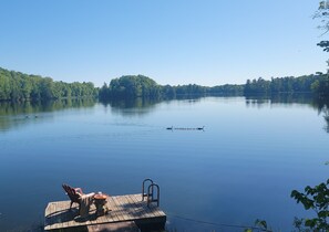 A wooden dock with a chair and a table, overlooking a calm lake with ducks and a rowboat. - Relax on Benson Lake, Rideau System (Westport)