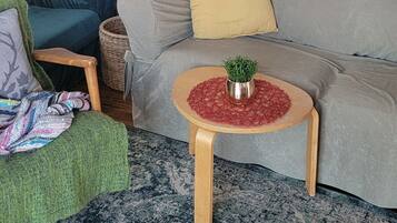 TV, books, music library, stereo