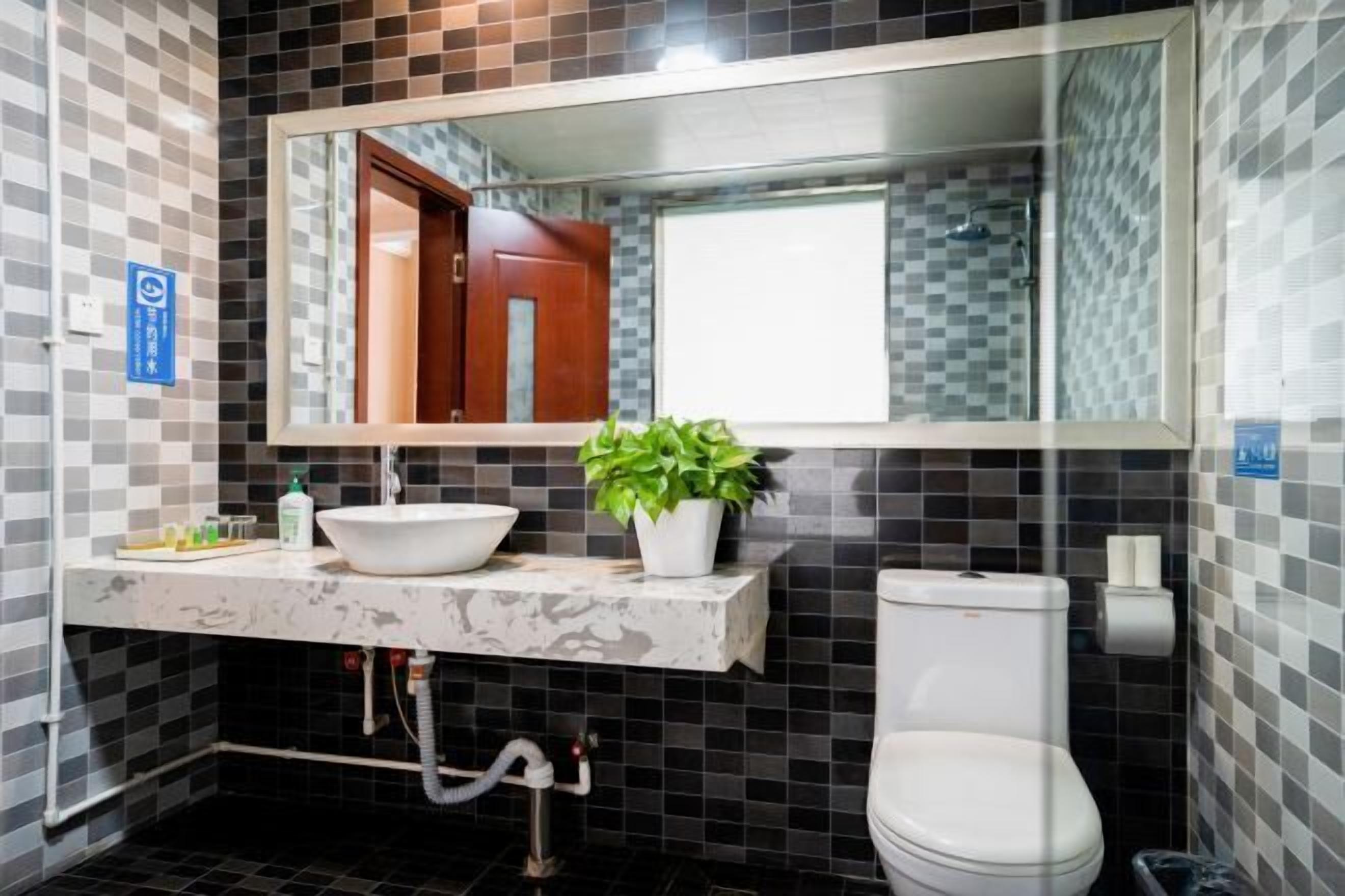 A bathroom with a white sink, a mirror, a toilet, and a potted plant.