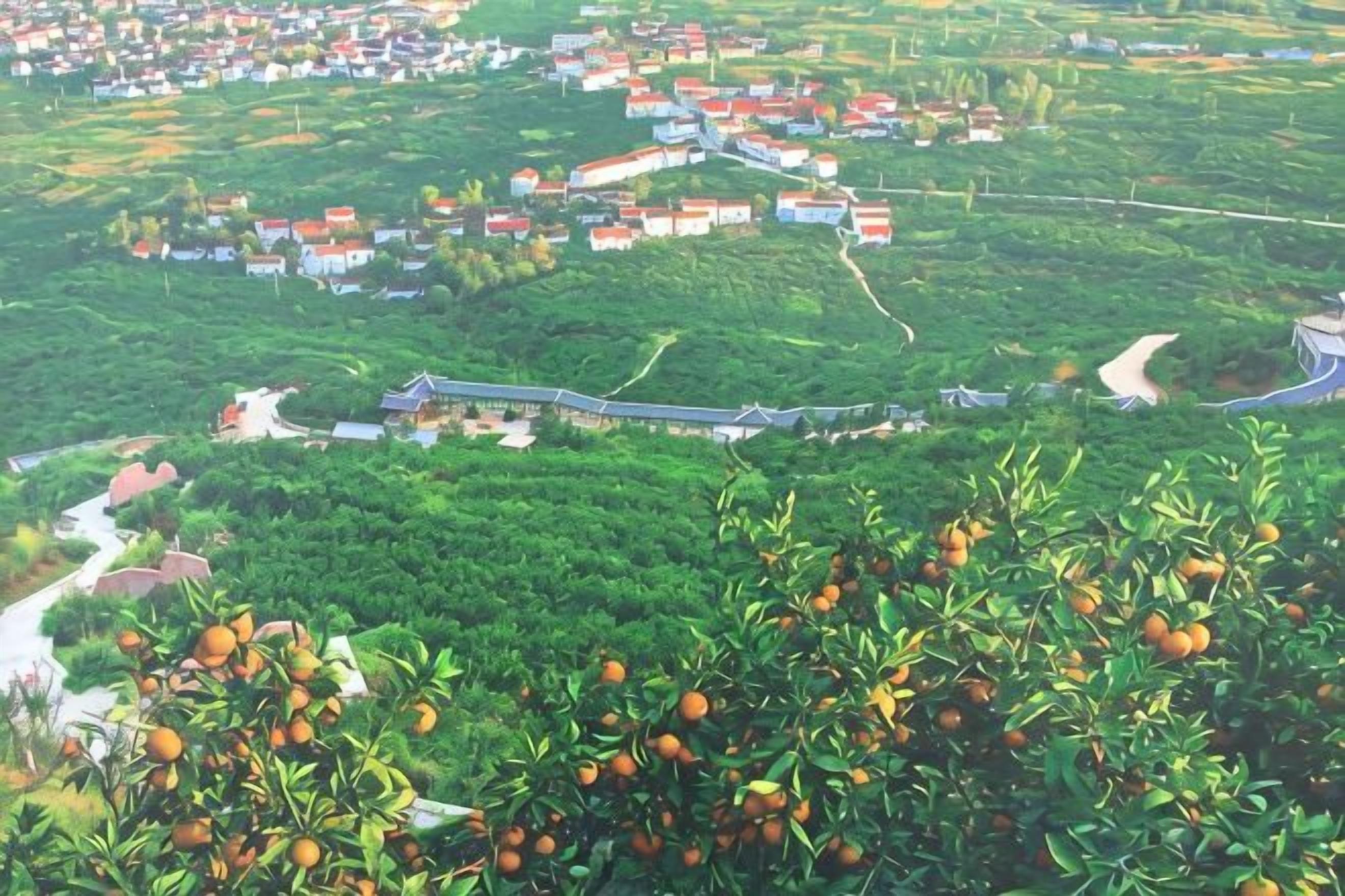 Un paisaje rural con un camino serpenteante, grupos de casas y abundante vegetación.