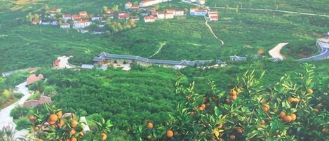 Un paisaje rural con un camino serpenteante, grupos de casas y abundante vegetación.