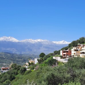 Exterior - Gardenia - Morfi Village with pool (EXOPOLI, APOKORONAS, CRETE)