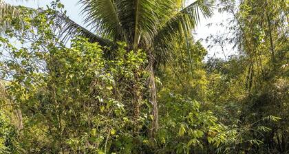 Pousada Paraíso Almada