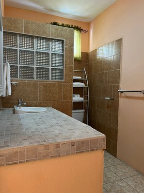 Chuveiro, secador de cabelo, toalhas de banho, sabonete