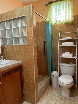 Chuveiro, secador de cabelo, toalhas de banho, sabonete