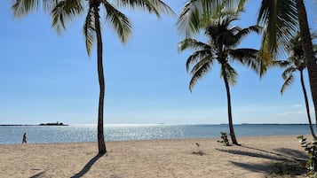 海滩