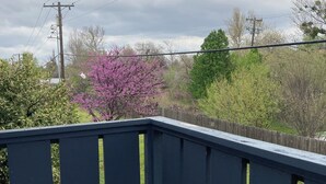 Een balkon met donker hekwerk, een houten omheining en een boom met paarse bloemen op de achtergrond.