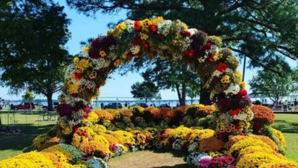 Un arco floral con una variedad de flores coloridas y un sendero que lo atraviesa.