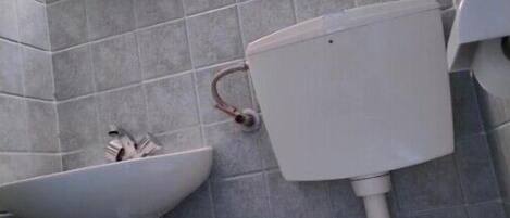 Hair dryer, towels, shampoo, toilet paper