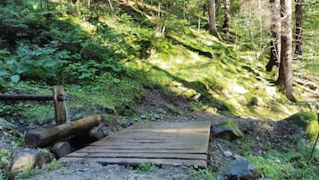 Parco della struttura