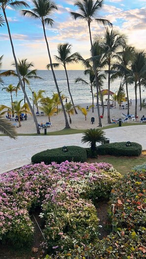 Sun loungers, beach towels