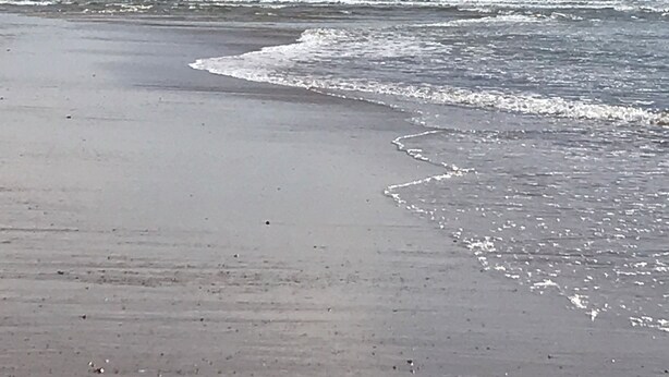 A beach with a wide sandy shore and gentle waves. - BETWEEN PINES AND OCEANS, IDEAL FOR FRIENDS AND FAMILY (Léon)