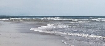 BETWEEN PINES AND OCEANS, IDEAL FOR FRIENDS AND FAMILY