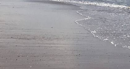 BETWEEN PINES AND OCEANS, IDEAL FOR FRIENDS AND FAMILY