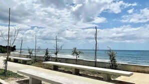 Une promenade en bord de mer, agrémentée de bancs et de jeunes arbres, qui mène à l’océan.