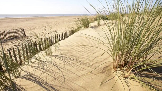 Ein Sandstrand mit einer Holzlattenzaun und hohem Gras.