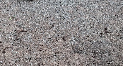 Up River Getaway. Complete 30/50 RV Site. Hike, Fish, Float, Relax!