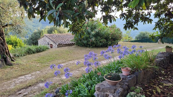 A stone cottage with a tiled roof, surrounded by a garden with purple flowers and various plants.