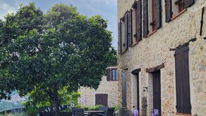 Un edificio de piedra con múltiples ventanas y un árbol en primer plano.