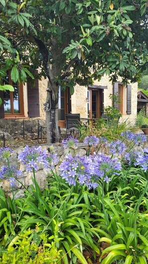 Exterior detail - New - Authentic Provencal country house - 18th century - Tourrettes sur Loup  (Tourrettes-sur-Loup)