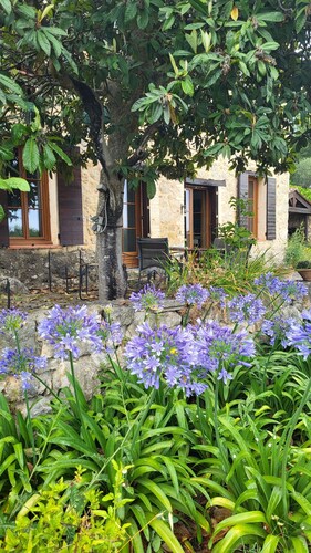 New - Authentic Provencal country house - 18th century - Tourrettes sur Loup 
