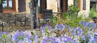 New - Authentic Provencal country house - 18th century - Tourrettes sur Loup 