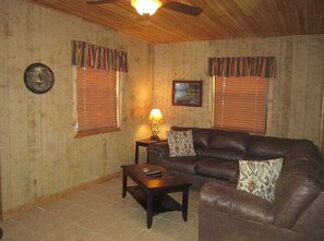 Televisión, chimenea, tenis de mesa y libros 