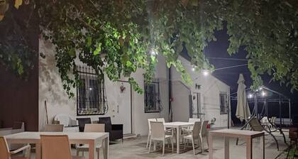 House with a view and pool "The Olive Tree"