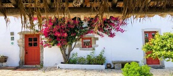 Casal da Serrana - Nature, Tranquillité, des Plages, Famille et Petfriendly