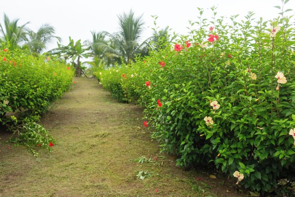 Terrein van de accommodatie