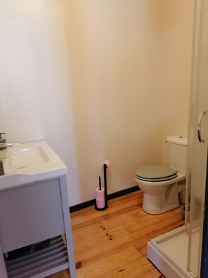 Shower, soap, toilet paper