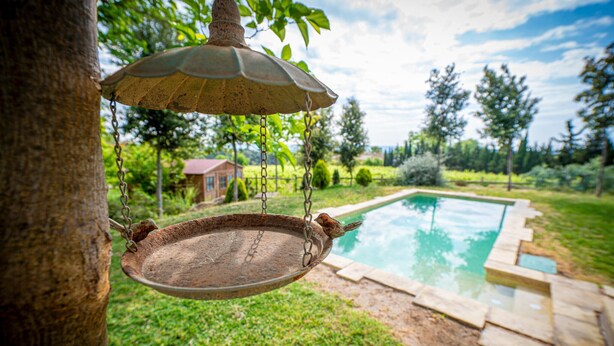 A rustic outdoor setting with a hanging bird feeder, a swimming pool, and a house in the background. - Cozy home in Guardiola de Fontrubí with sauna (Guardiola de Fontrubí)