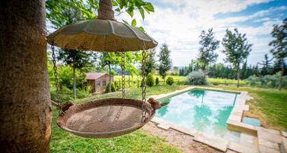 Cozy home in Guardiola de Fontrubí with sauna