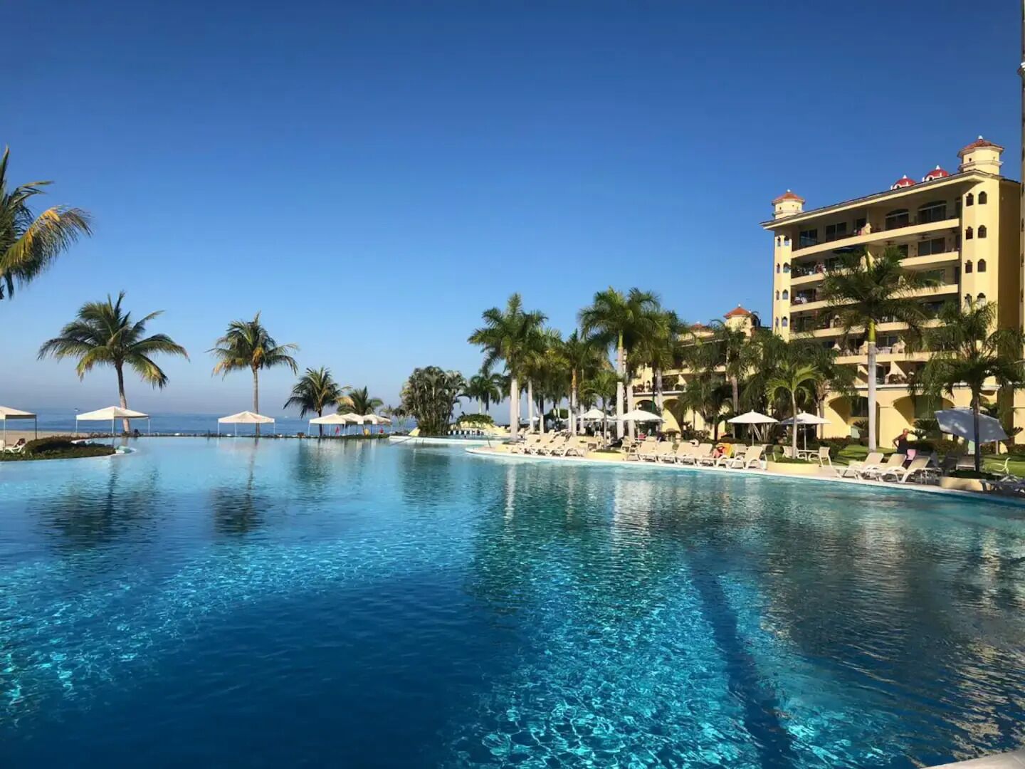 A large, clear swimming pool with lounge chairs and umbrellas, surrounded by palm trees and a hotel building.