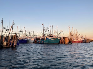 Pesca