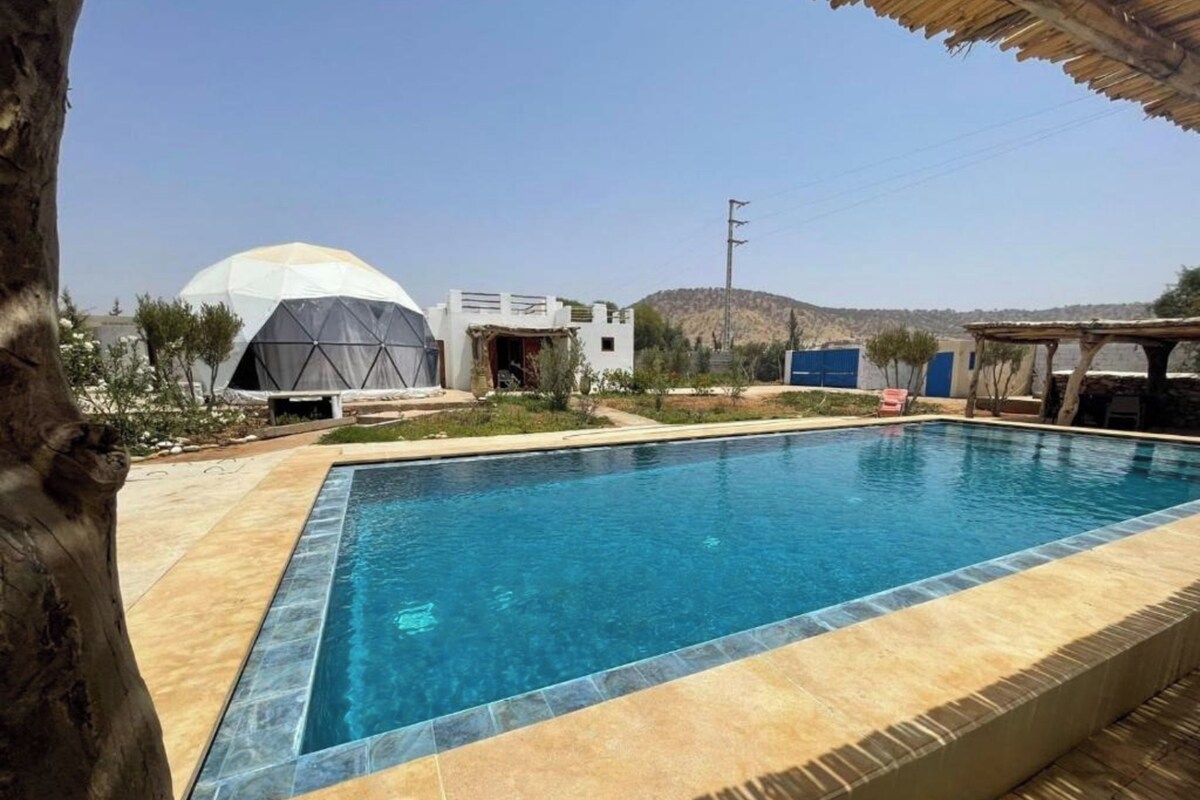A swimming pool with a tiled edge, surrounded by a garden and a building with a dome structure.