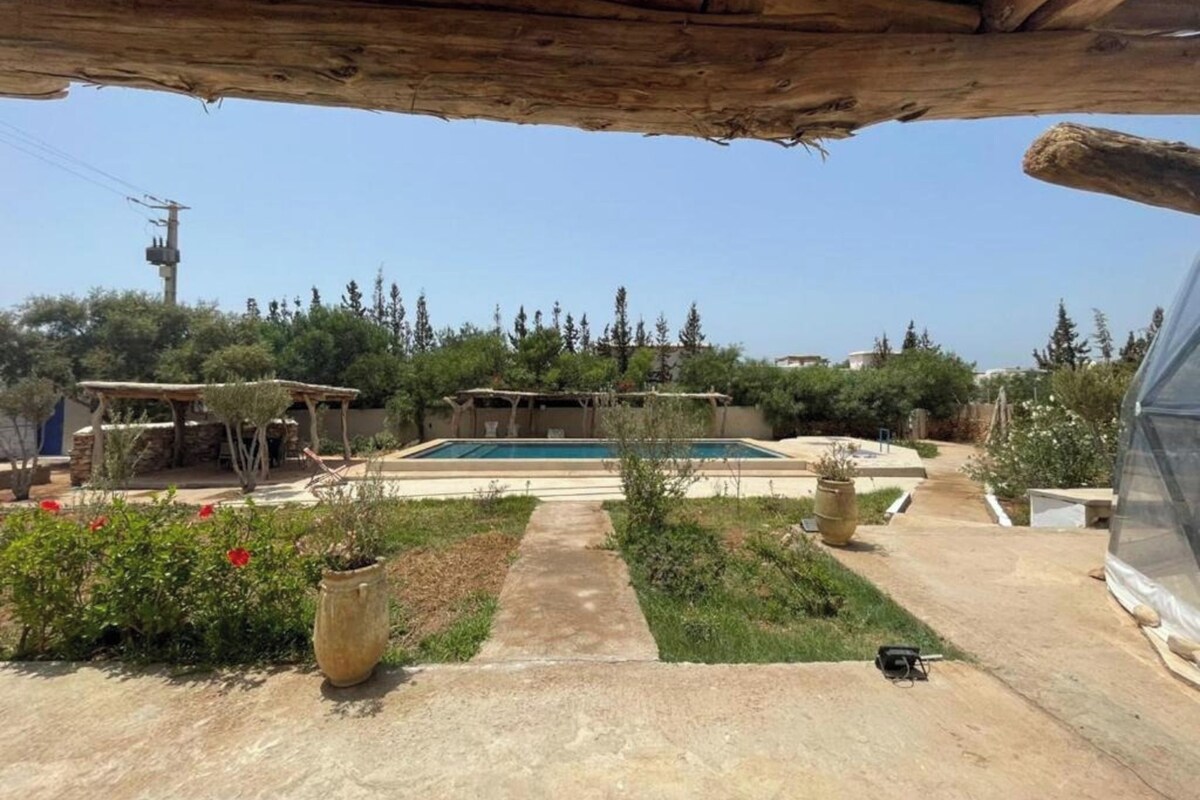 A backyard with a swimming pool, potted plants, and a pergola.