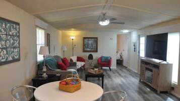 Smart TV, fireplace, books