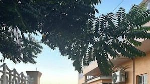 Un sendero estrecho que lleva a un edificio de fachada color crema, una valla blanca y un fondo con vegetación.