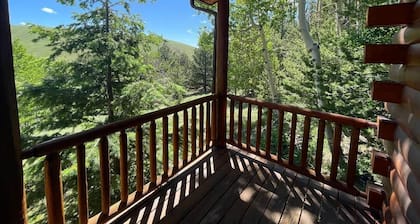 Mountain Meadow Cabin in Cotopaxi on 40 acres