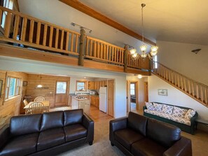 Smart TV, books - Mountain Meadow Cabin in Cotopaxi on 40 acres (Cotopaxi)