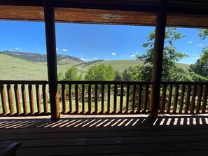 Property grounds - Mountain Meadow Cabin in Cotopaxi on 40 acres (Cotopaxi)