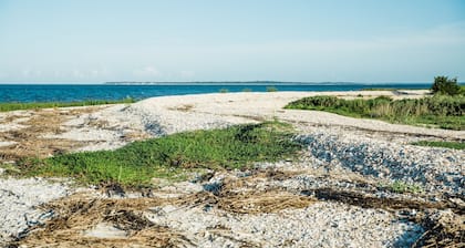 Private Island Experience Day Trips, Events, Tours