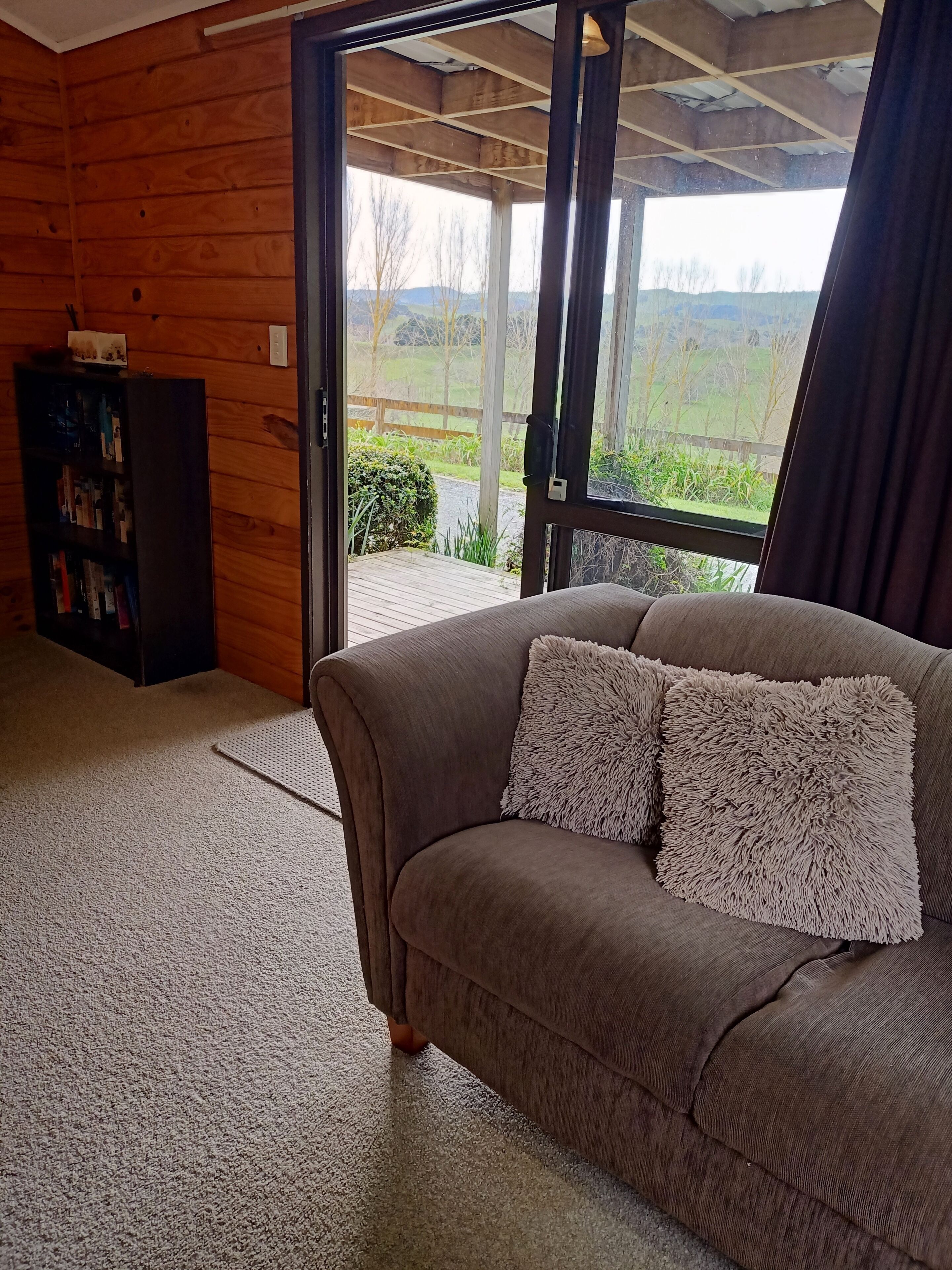 Televisión y libros 