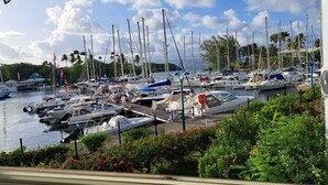 Un puerto deportivo con varias embarcaciones amarradas, rodeado de vegetación y palmeras.